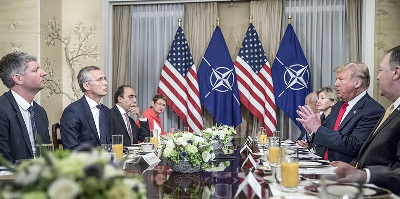 Слева те, кто «подхрюкивает» Трампу.