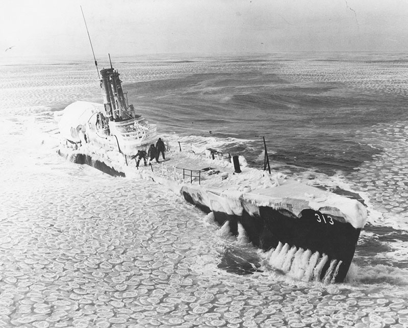 Согласно данным американской разведки, начиная с 1939 года немецкие корабли и подлодки доставляли в Антарктиду учёных, обслугу и узников концлагерей для возведения секретных объектов.