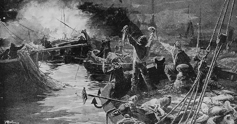 Несколько наших офицеров утверждали, что успели заметить миноносцы, прикрывавшиеся мирными пароходами.