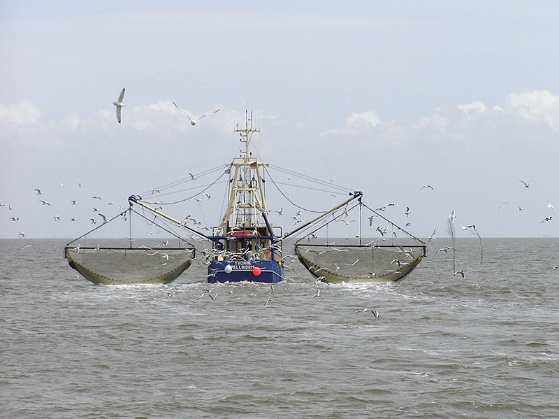 Брюссель и Лондон будут пытаться достичь соглашения по взрывоопасной проблеме рыболовства уже к 1 июля.