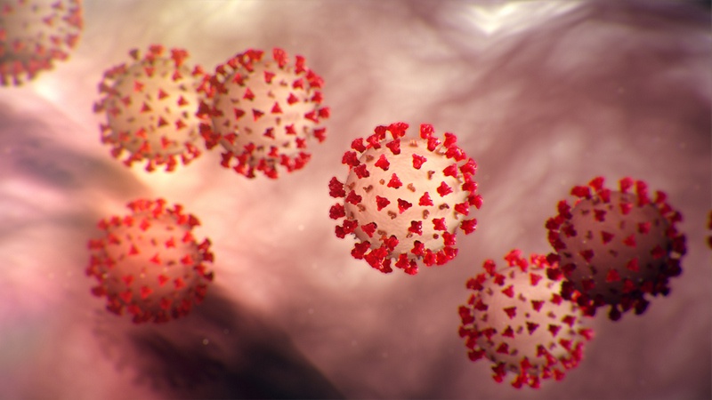 Чем, на самом деле, является коронавирус - обычным, пусть и смертельно опасным вирусом или же всё-таки биологическим оружием?