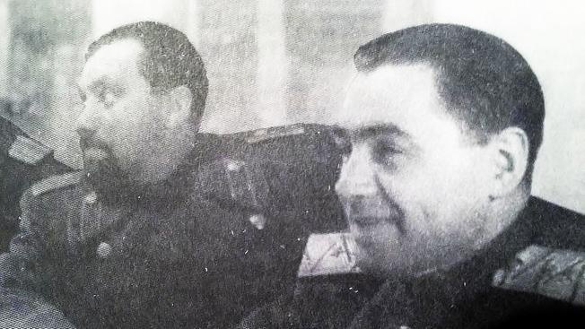 Ликвидацию Гитлера готовили и в СССР Ликвидацию Гитлера готовили и в СССР