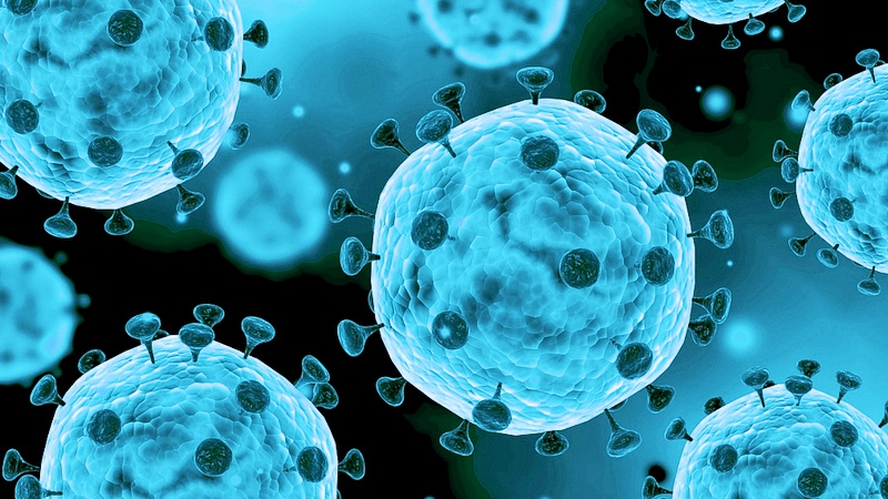 Люк Монтанье сделал вывод, что вирус SARS-CoV-2 пришёл в мир из лаборатории в Ухани.