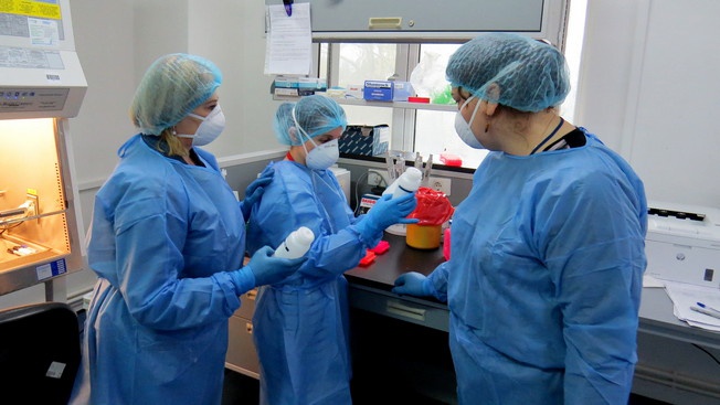 Лаборанты обращаются с потенциально опасным патогеном с помощью кабинета биобезопасности в центральной справочной лаборатории Республики Грузия в Тбилиси.