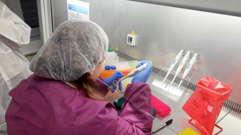 Армянский лаборант в Ереване помещает образец патогена в пробирку в пределах шкафа биобезопасности.