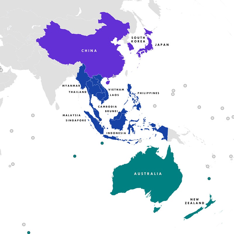 В составе ВРЭП 10 членов АСЕАН - Бруней, Вьетнам, Индонезия, Камбоджа, Лаос, Малайзия, Мьянма, Сингапур, Таиланд и Филиппины, а также Китай, Япония, Южная Корея, Австралия и Новая Зеландия.