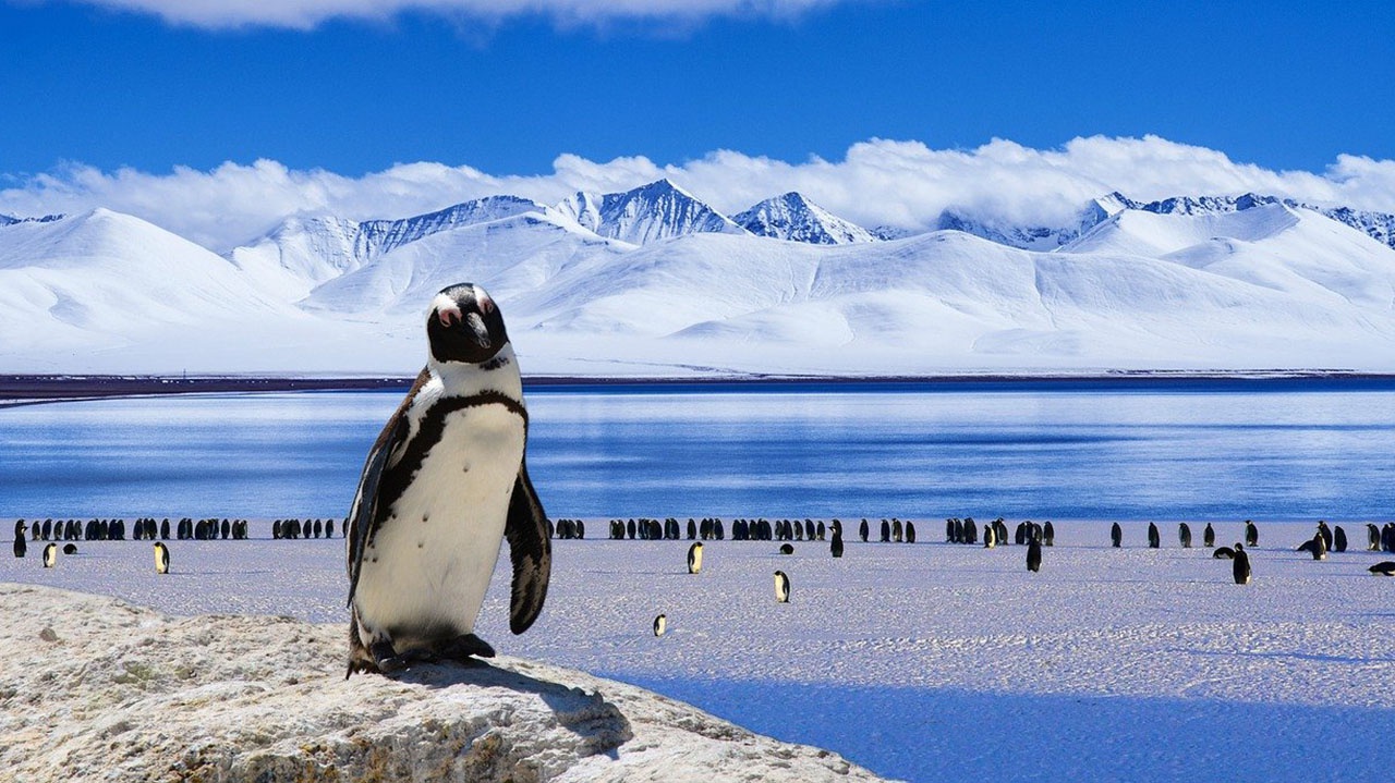 AUKUS - Антарктический сговор англосаксов под видом борьбы с Китаем