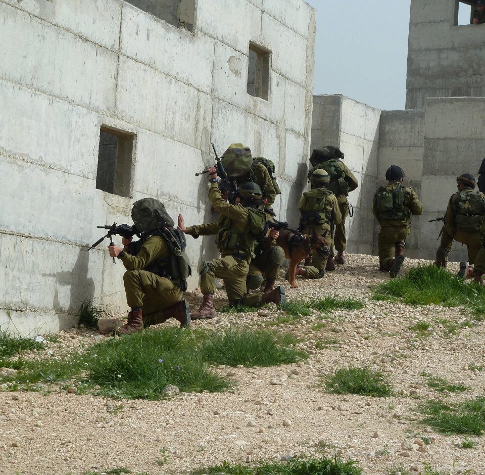 Задача бригады «Кфир» заключается в постоянном присутствии на Западном берегу реки Иордан, обеспечении безопасности и защиты израильских поселений и предотвращении попыток проникновения в Израиль.