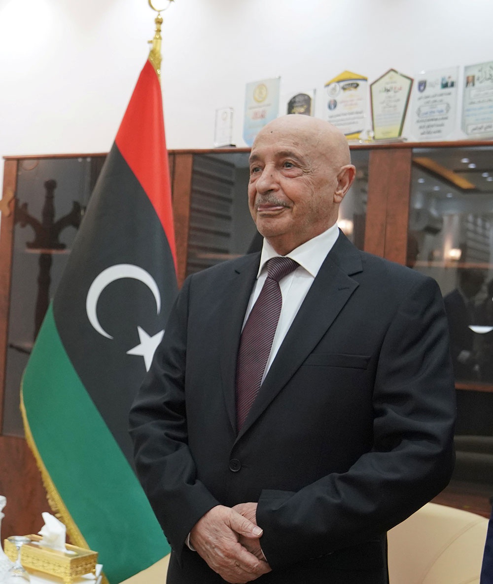 По мнению спикера парламента Агилы Салеха, британский посол в Ливии Кэролайн Херндалл «набралась наглости» вмешиваться во внутренние дела ливийцев.
