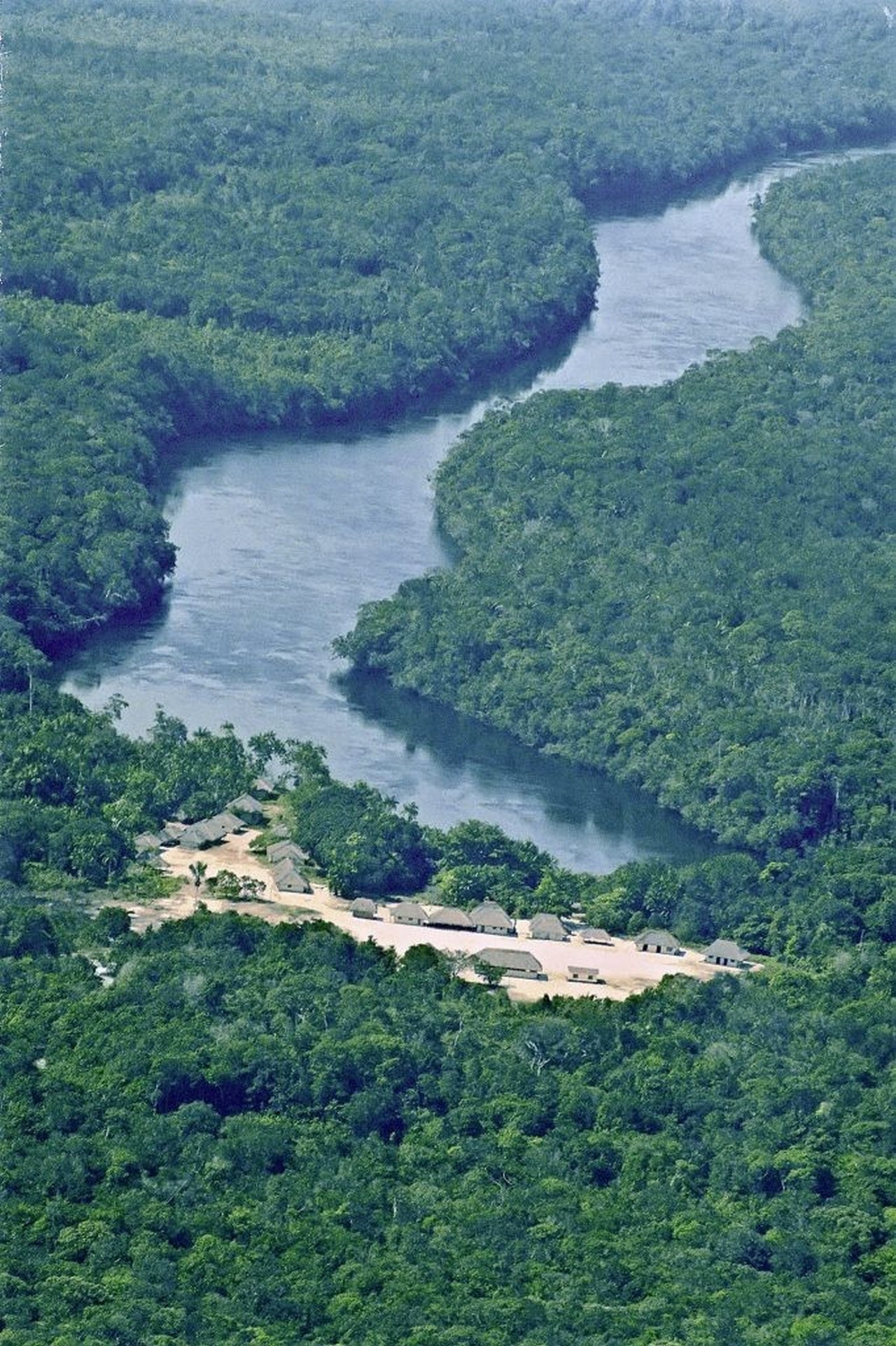Леса Амазонии, по данным за 2018 год, уже потеряли 513 016 кв. км своей площади.