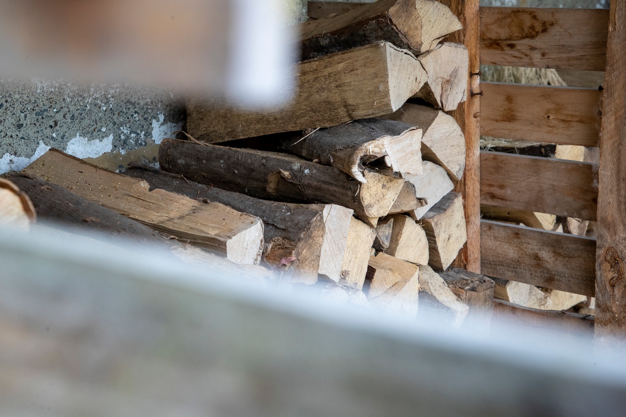 Европейцы запасаются дровами, цены на которые значительно выросли, в ожидании грядущей зимы.