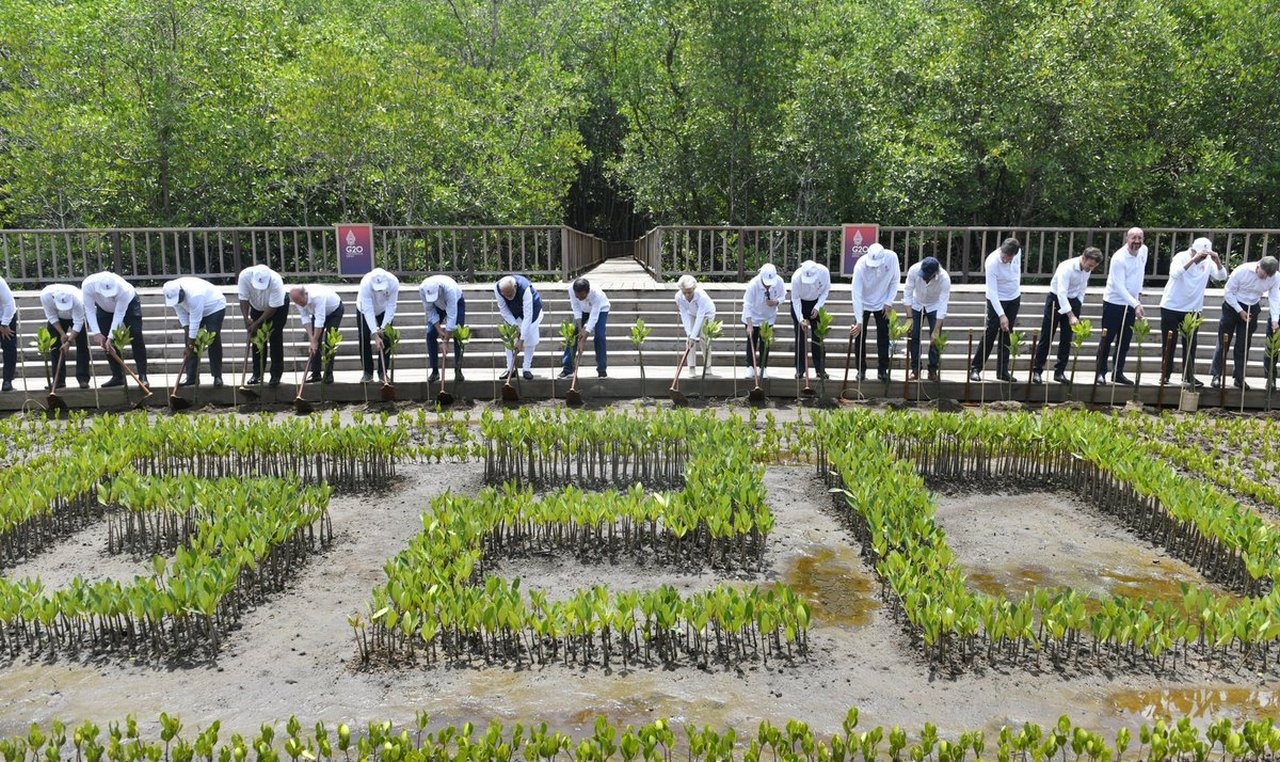 Участники саммита приняли участие в церемонии посадки мангровых деревьев в природном парке Нгурах Рай, чтобы привлечь внимание к проблемам климата и сохранения лесов.