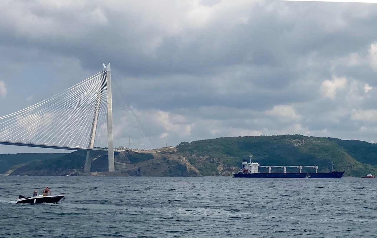 Грузовое судно с украинским зерном проходит пролив Босфор.