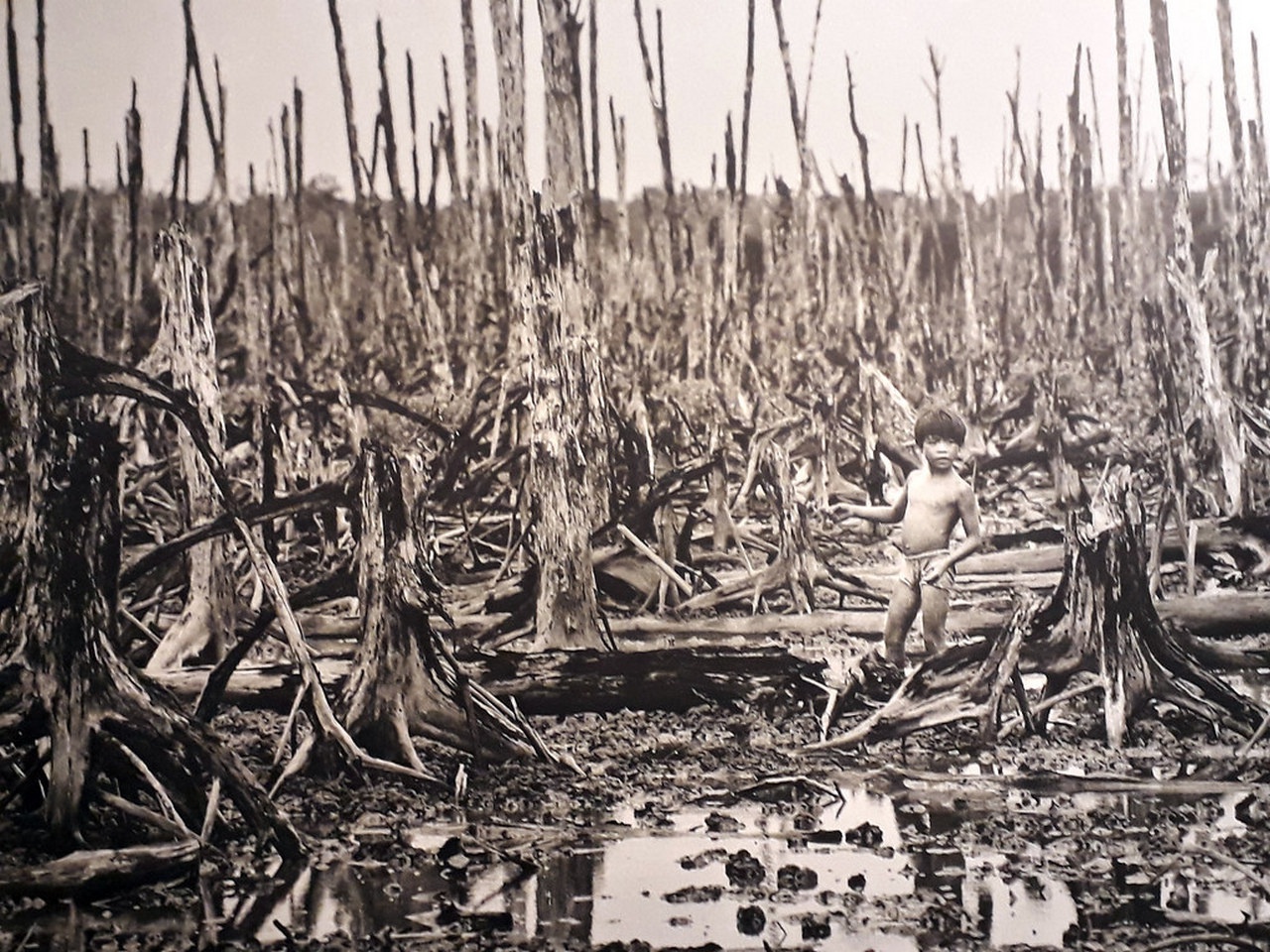В Северном Вьетнаме 3181 деревня была опрыскана смесью дефолиантов и гербицидов «Агент Оранж», заразив от 2 до 4 миллионов человек, включая  военнослужащих США.