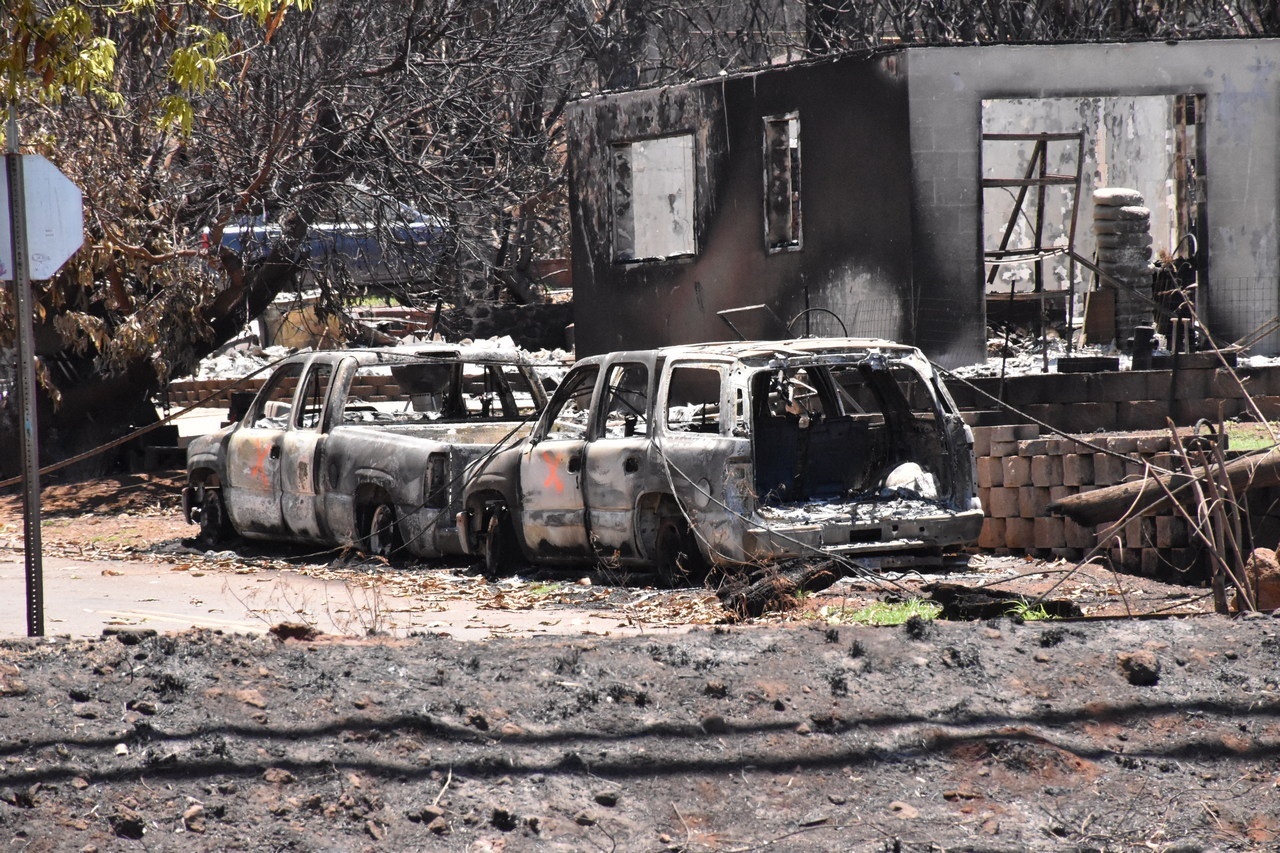 Катастрофические последствия пожара на Мауи Белый дом оценил в 700 долларов на одного пострадавшего.