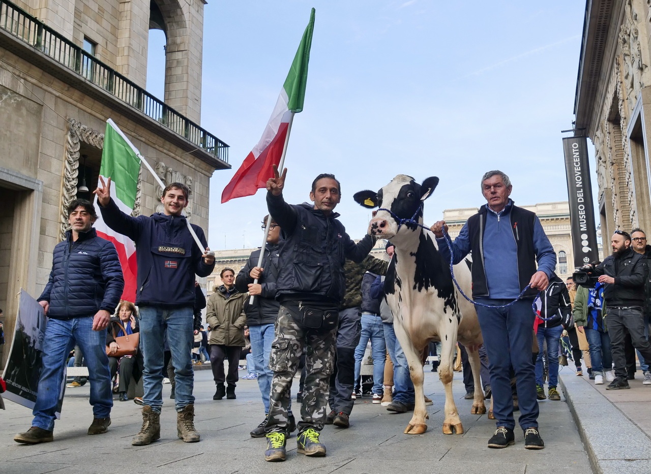 Итальянцы привлекли к демонстрациям домашний скот.