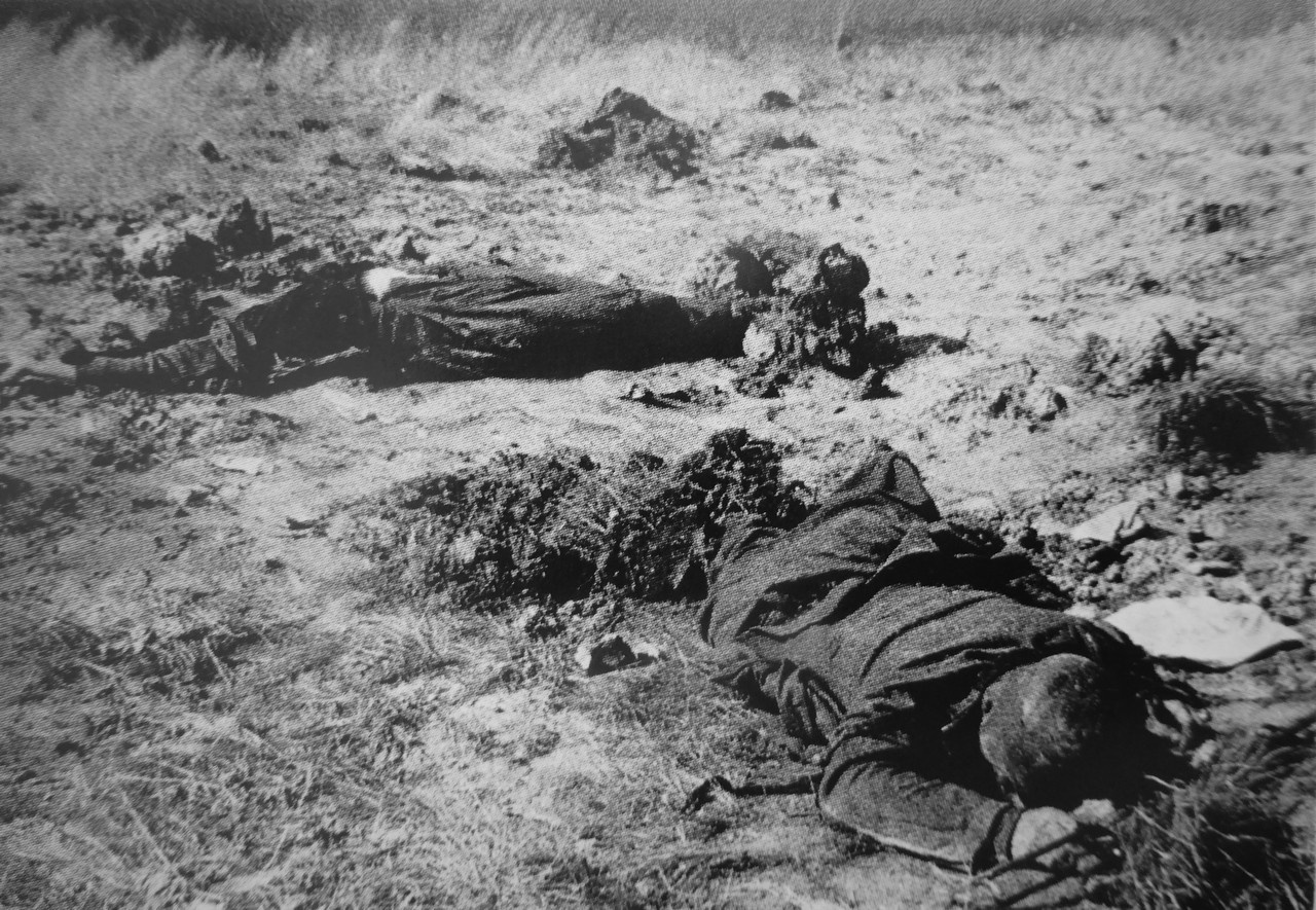 Тела немецких военнослужащих, погибших при отступлении под Витебском.