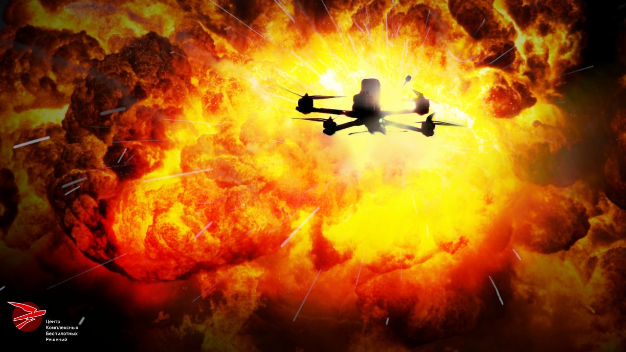 Сядем на берегу и запасёмся морской капустой. Если долетим, доедем, добежим, доплывём