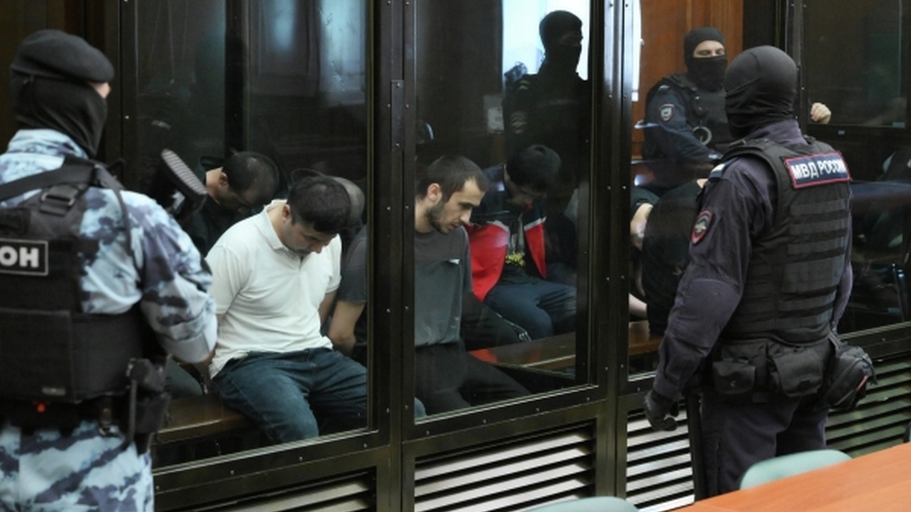 Ёлка раздора, или Кривое зеркало миграционной политики