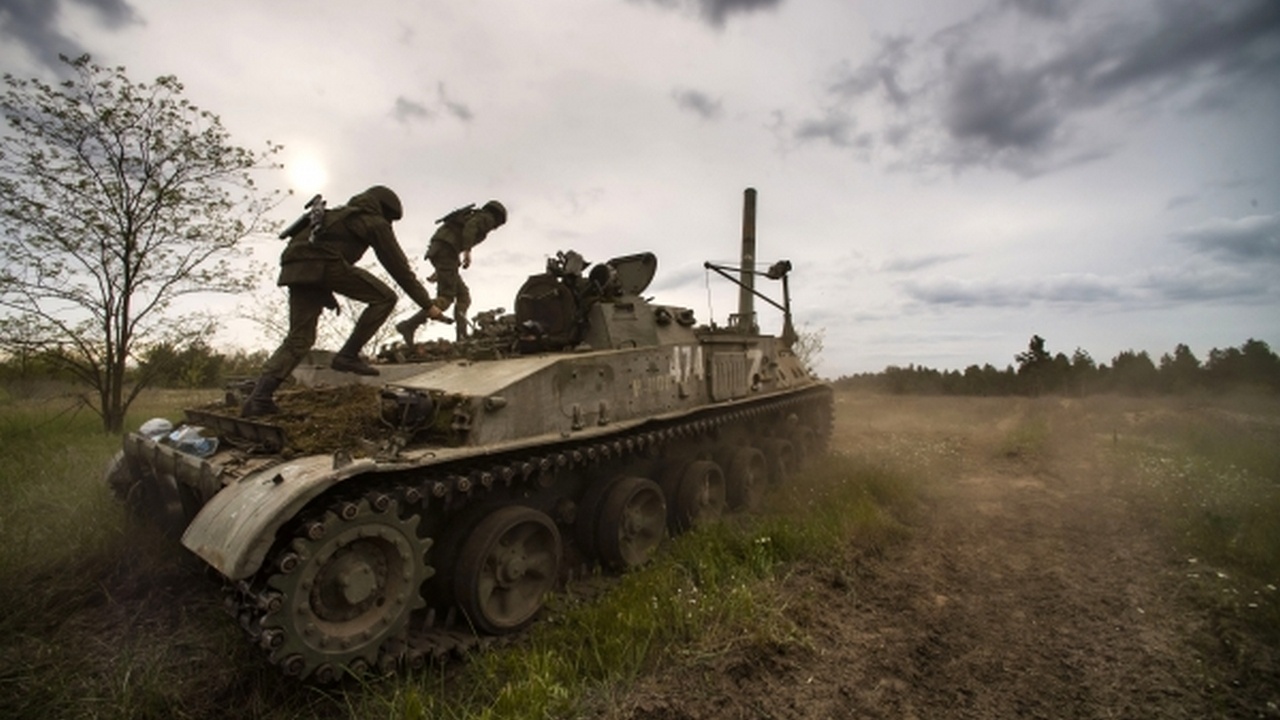 Птички, глаза, салорез и убойная морковка
