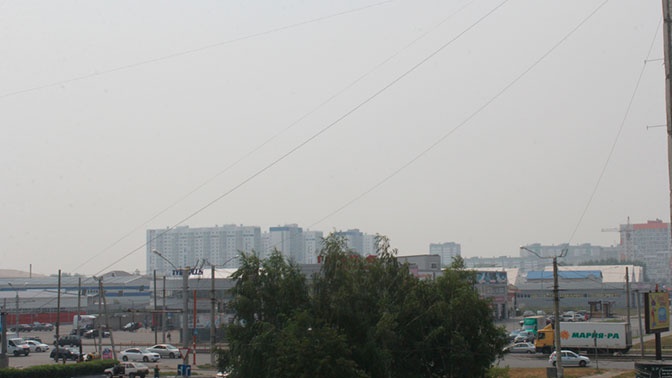 Трудно дышать: едкая дымка окутала Алтайский край