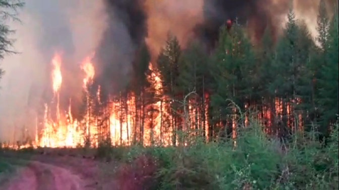 Лесные пожары в Якутии охватили более 1,2 млн гектаров - ТРК Звезда  Новости, 02.08.2019