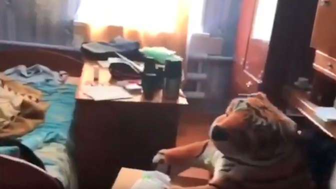 В прокуратуре рассказали об отце ульяновского подростка, убившего семью В прокуратуре рассказали об отце ульяновского подростка, убившего семью