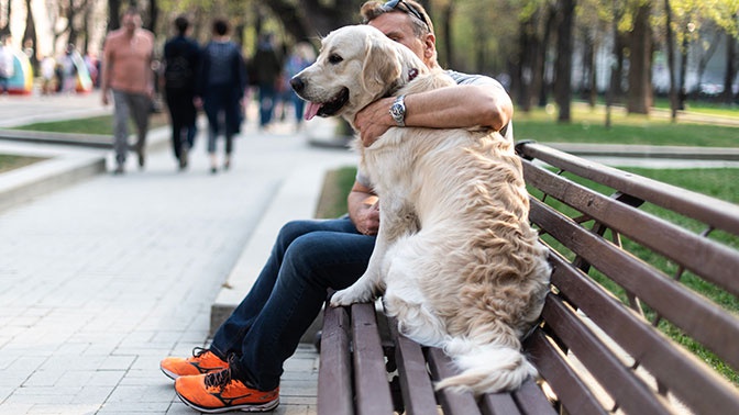 Ведьмак и Ламберт: в Россию пришла новая мода на клички для собак