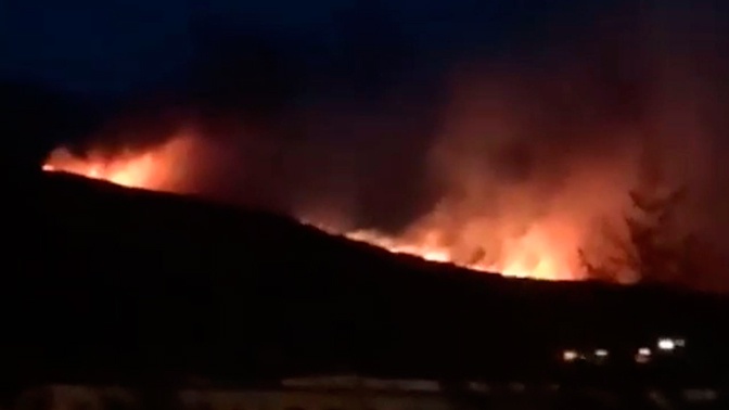Четыре гостя: в поселки под Магаданом вышли медведи из-за пожаров