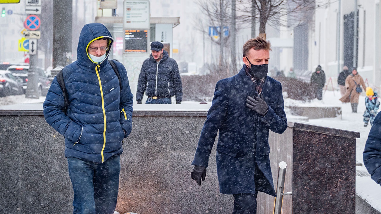 Ученые нашли новый способ уничтожить COVID-19 Ученые нашли новый способ уничтожить COVID-19