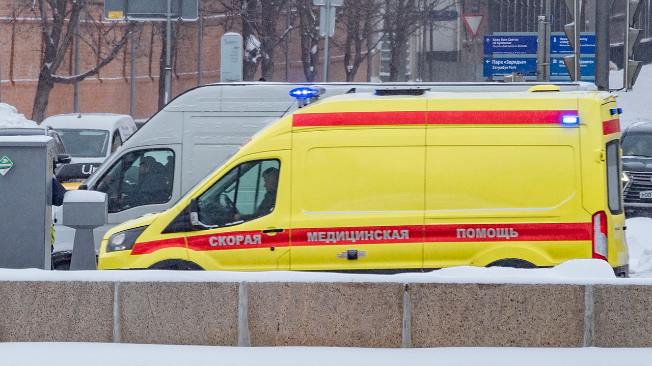 В России за сутки выявили 13 447 новых случаев коронавируса
