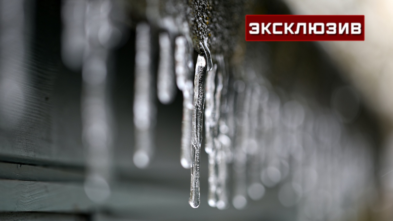 Синоптик предупредил о последствиях резкого потепления в Москве