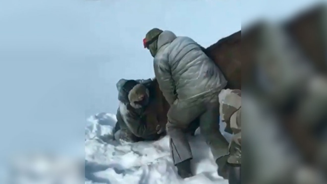 Расправа над. Расправа медведя с людьми. Расправа над лесником Максимов. Участники зверской расправы над российскими десантниками. Кадры расправы над русскими солдатами в Украине 27 марта.