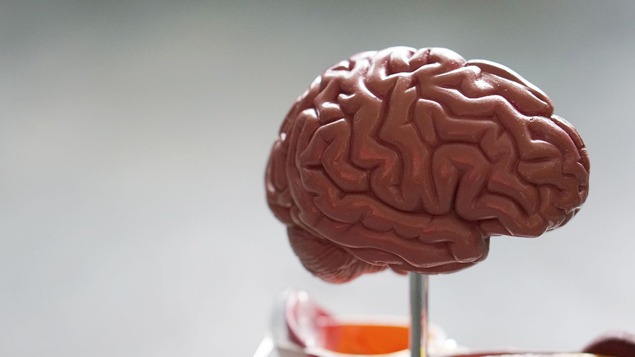 Врачи назвали пять симптомов, указывающих на гибель клеток мозга