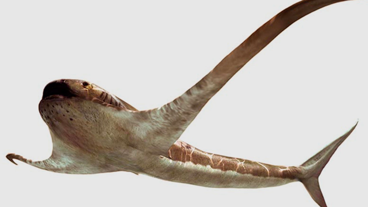 Палеонтологи обнаружили древнюю акулу с крыльями