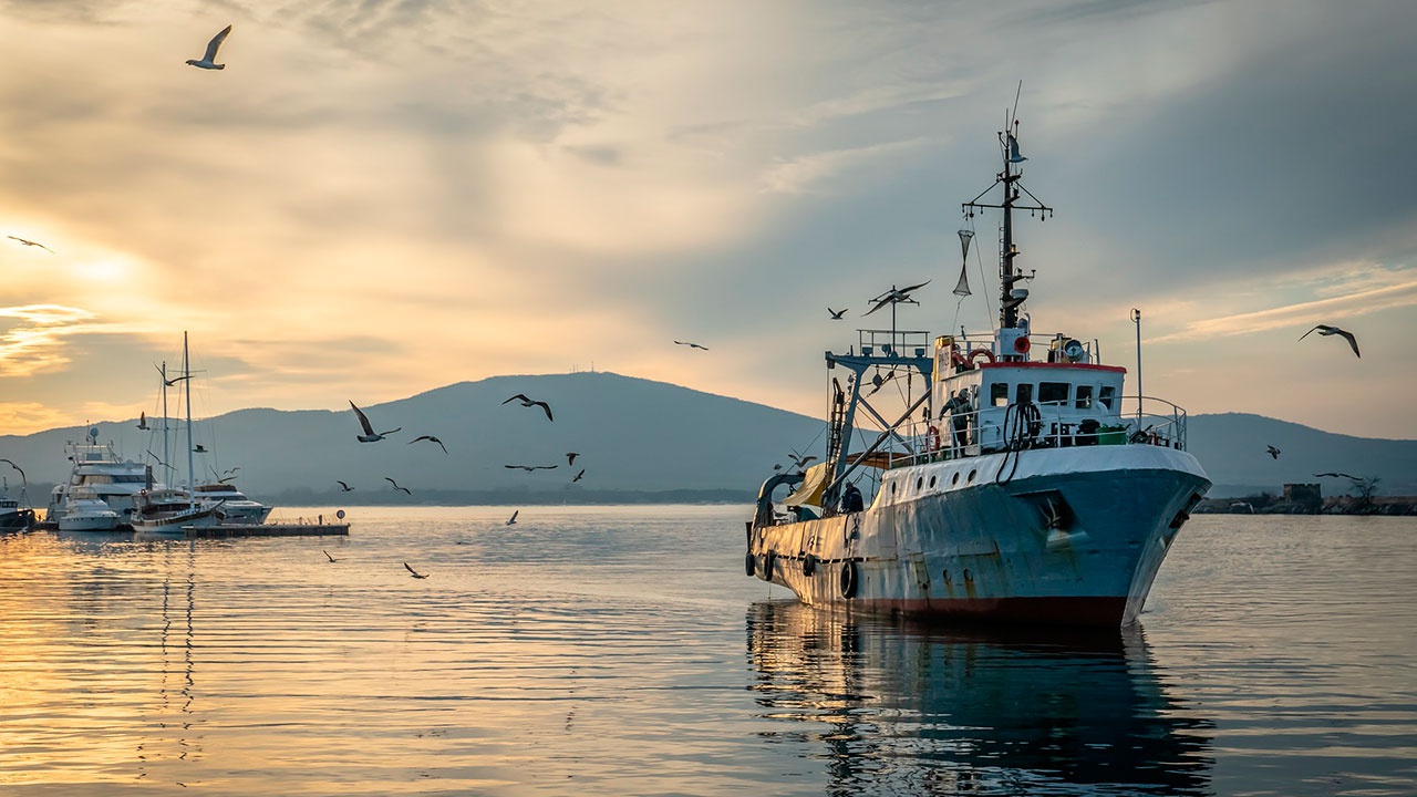 Минсельхоз предложил компенсировать рыбакам 30% затрат на топливо для работы в удаленных районах