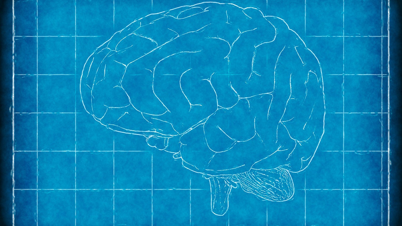 Ученые выяснили, как гипноз влияет на мозг человека