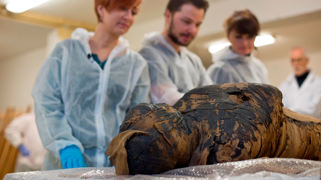 В Польше обнаружена единственная в мире беременная египетская мумия