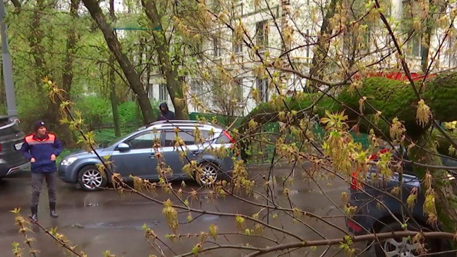 В Москве объявили желтый уровень погодной опасности В Москве объявили желтый уровень погодной опасности