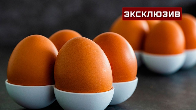 Диетолог развеял популярный миф о яйцах Диетолог развеял популярный миф о яйцах