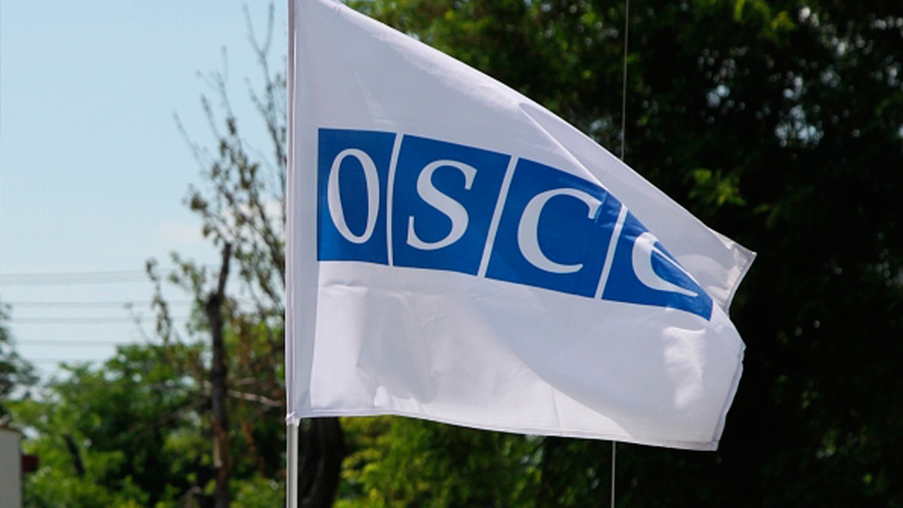 Беспилотник ОБСЕ аварийно приземлился в Донбассе 