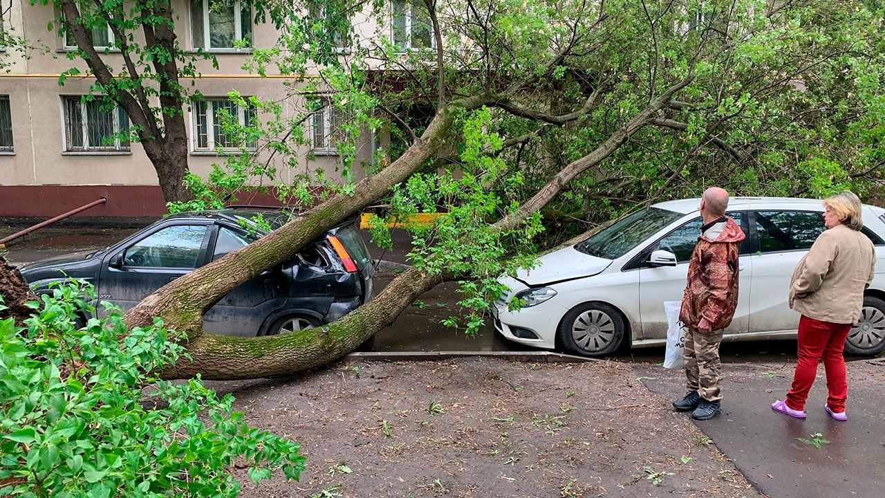 Ураган 2017 в москве фото