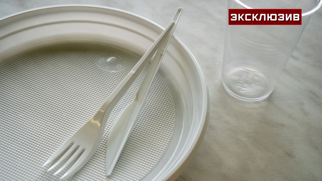 Запрещенный пластик: эксперт рассказал, чем заменить одноразовую посуду