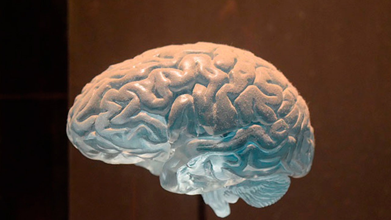 Человеческий мозг оказался способен путешествовать во времени