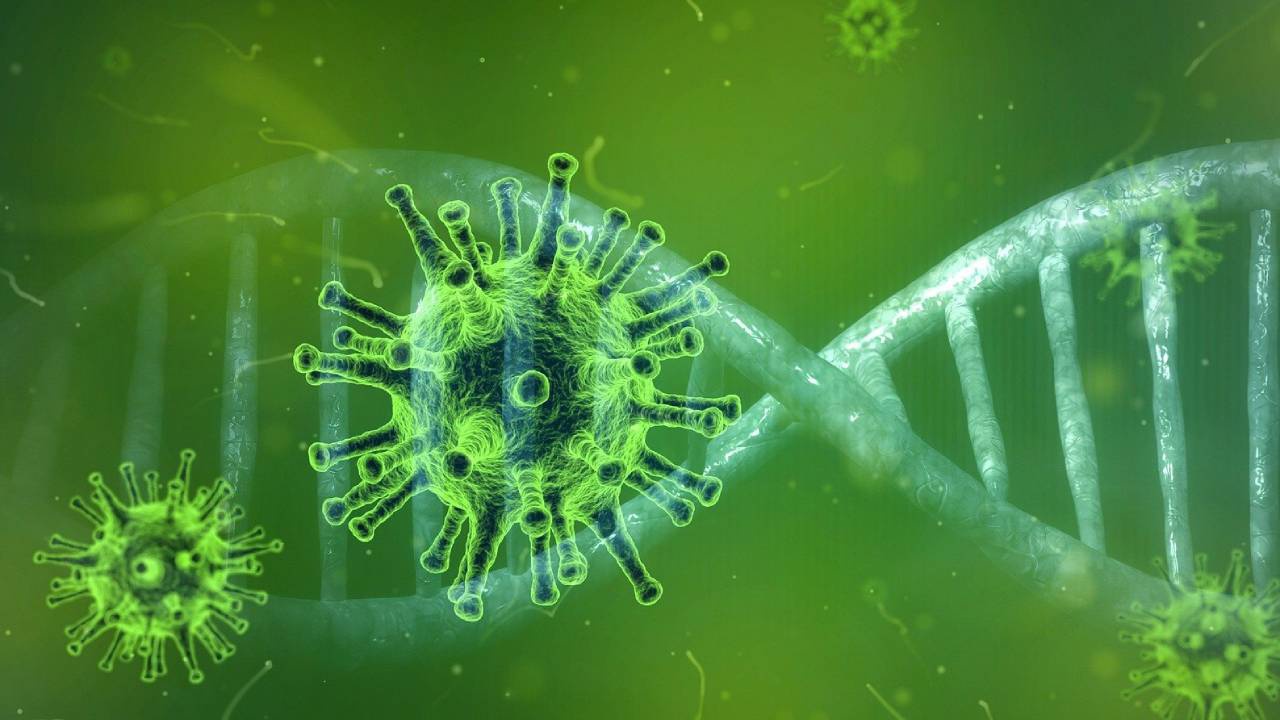 Ученые научились подавлять размножение коронавируса