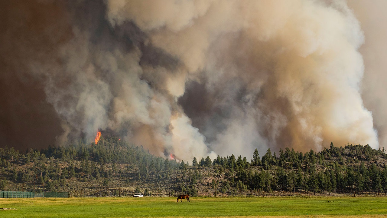 В штате калифорния лесные пожары