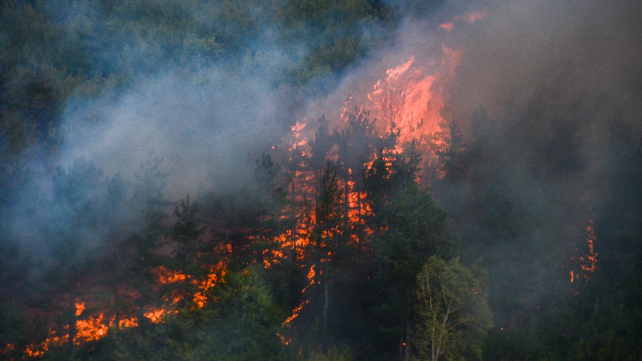 В районе туристического Бодрума вспыхнул сильный лесной пожар