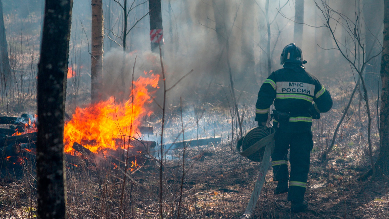 В России за сутки потушили 28 природных пожаров  