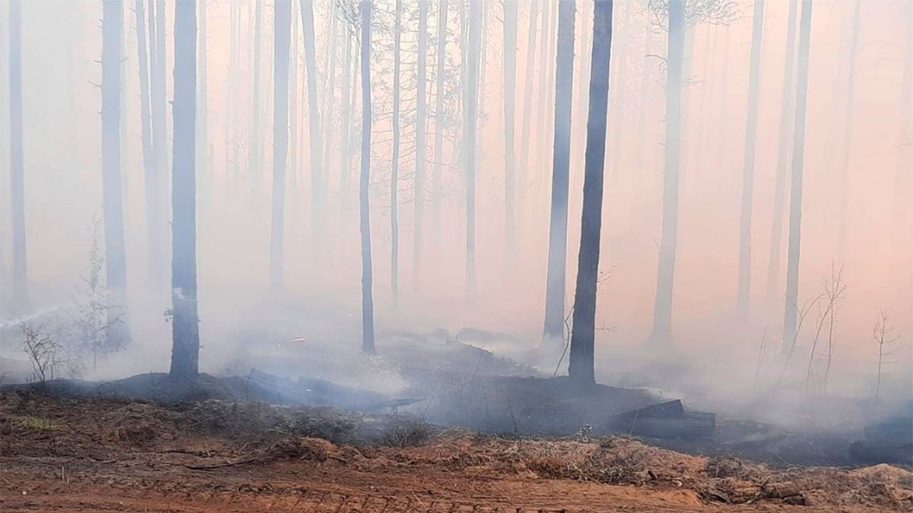 Лесной пожар в Йошкар Оле 2021