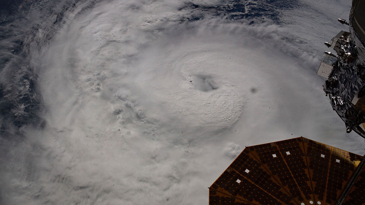 В Мексике не менее восьми человек погибли из-за урагана «Грейс»